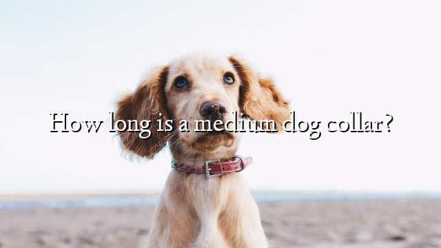 How long is a medium dog collar?