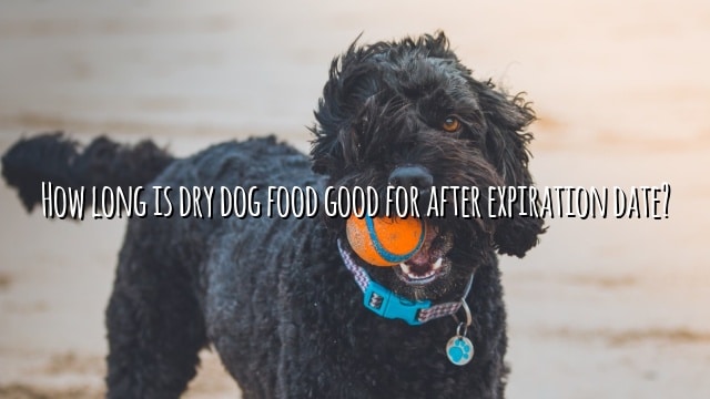 How long is dry dog food good for after expiration date?