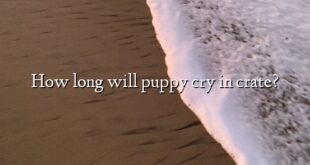 How long will puppy cry in crate?