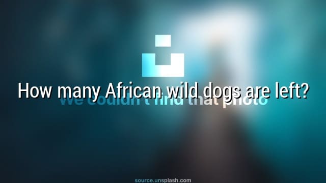 How many African wild dogs are left?
