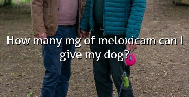 How many mg of meloxicam can I give my dog?