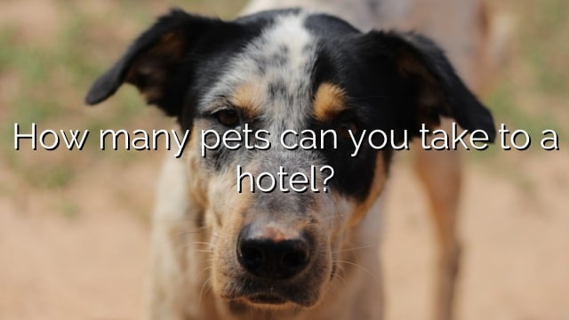 How many pets can you take to a hotel?