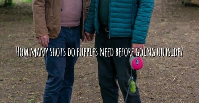 How many shots do puppies need before going outside?
