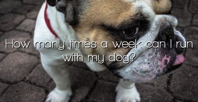 How many times a week can I run with my dog?