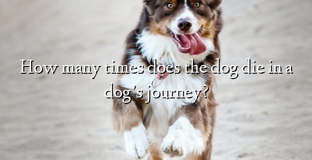 How many times does the dog die in a dog’s journey?