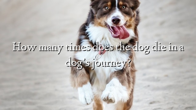 How many times does the dog die in a dog’s journey?
