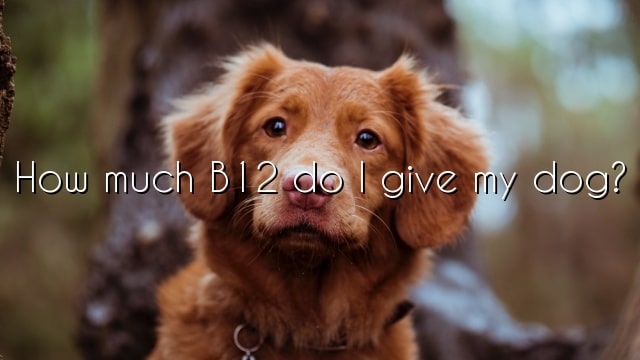 How much B12 do I give my dog?