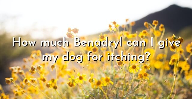 How much Benadryl can I give my dog for itching?