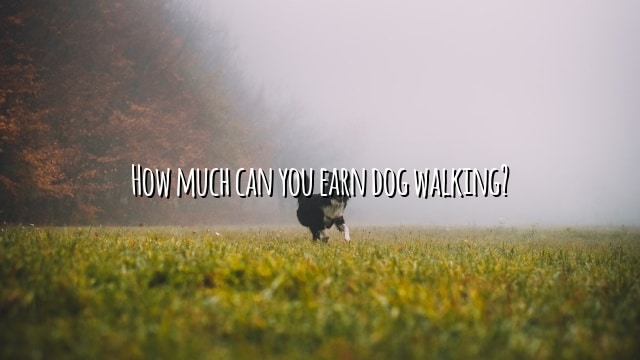How much can you earn dog walking?