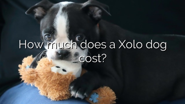 How much does a Xolo dog cost?