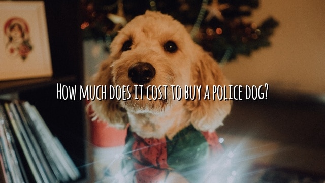 How much does it cost to buy a police dog?