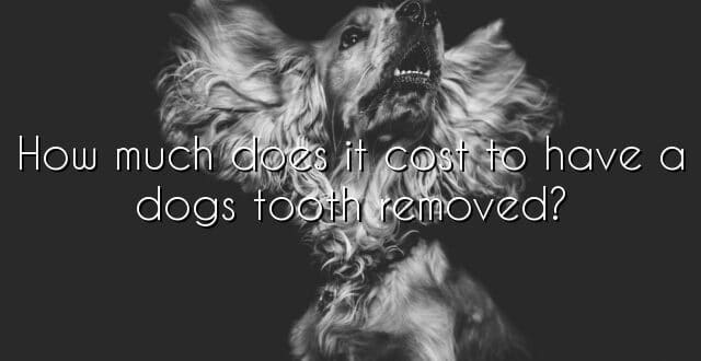 How much does it cost to have a dogs tooth removed?