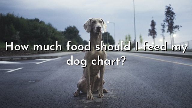 How much food should I feed my dog chart?