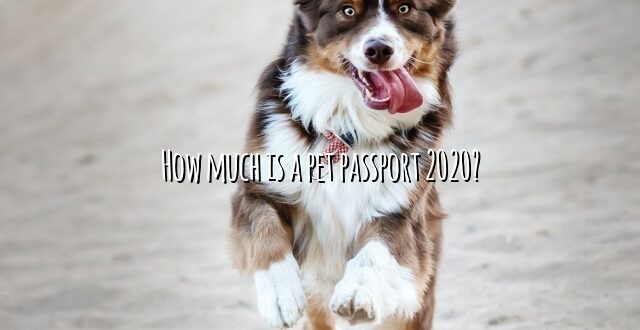 How much is a pet passport 2020?