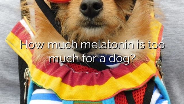 How much melatonin is too much for a dog?