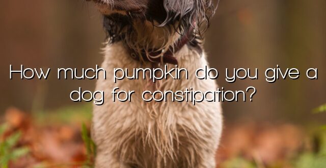 How much pumpkin do you give a dog for constipation?