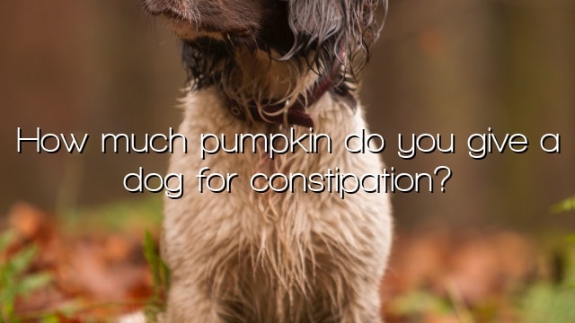 How much pumpkin do you give a dog for constipation?