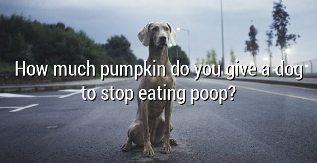 How much pumpkin do you give a dog to stop eating poop?