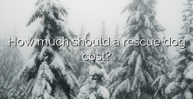 How much should a rescue dog cost?