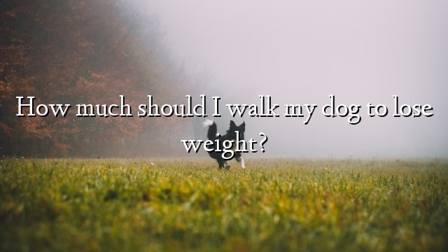 How much should I walk my dog to lose weight?