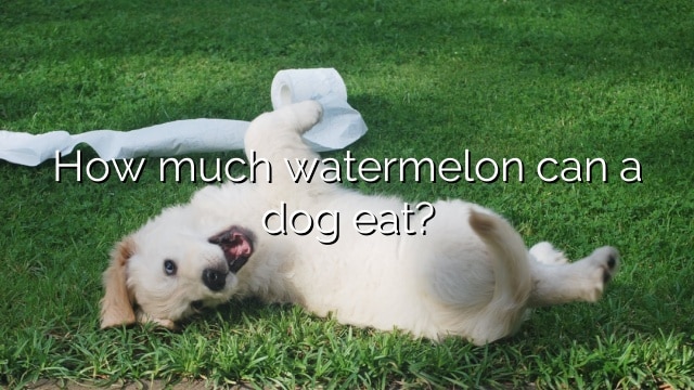 How much watermelon can a dog eat?