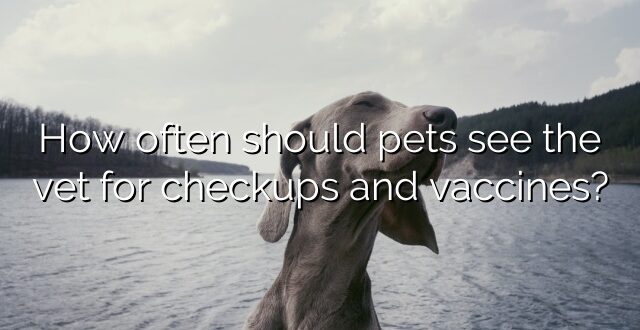 How often should pets see the vet for checkups and vaccines?