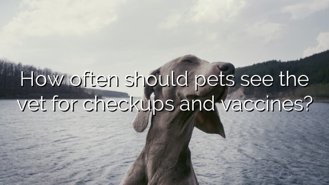 How often should pets see the vet for checkups and vaccines?