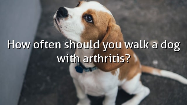 How often should you walk a dog with arthritis?