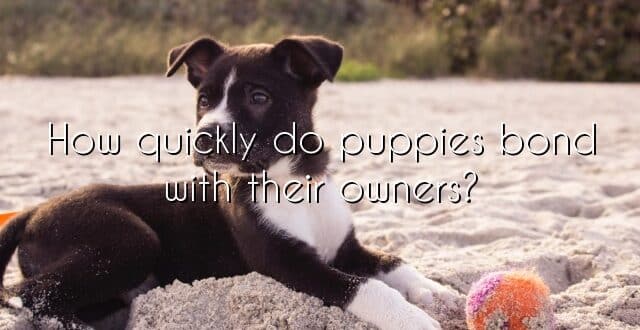 How quickly do puppies bond with their owners?