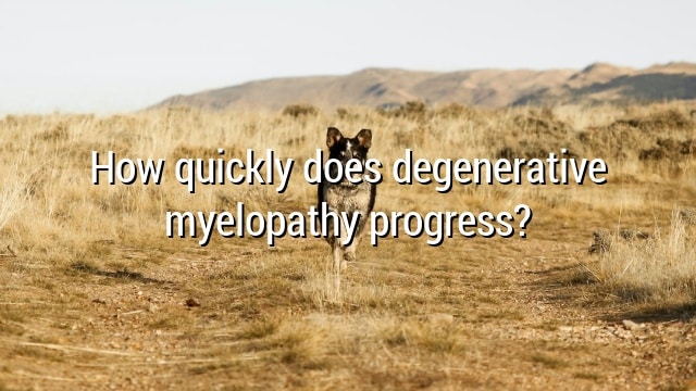 How quickly does degenerative myelopathy progress?