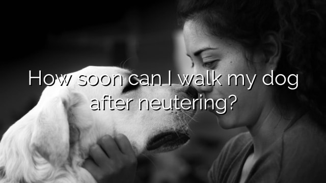 How soon can I walk my dog after neutering?