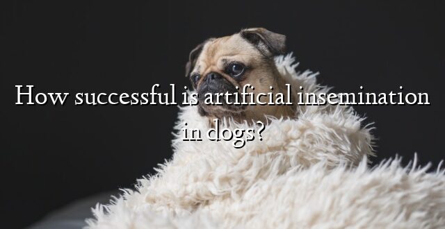 How successful is artificial insemination in dogs?