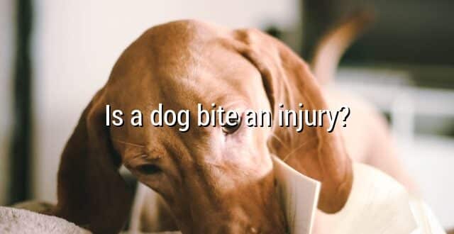 Is a dog bite an injury?