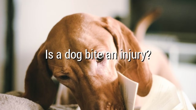 Is a dog bite an injury?