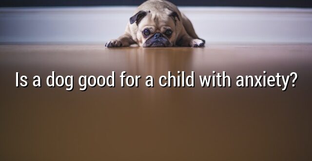 Is a dog good for a child with anxiety?