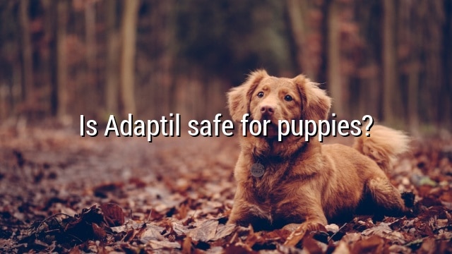 Is Adaptil safe for puppies?