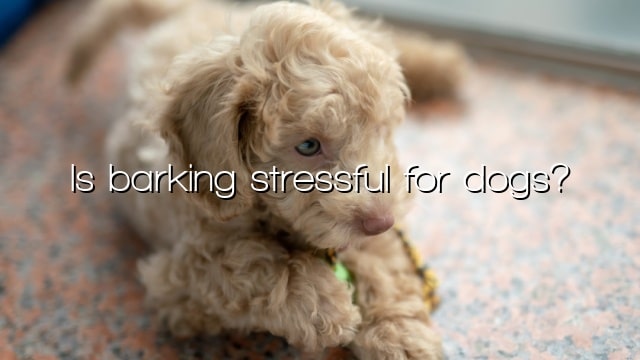 Is barking stressful for dogs?