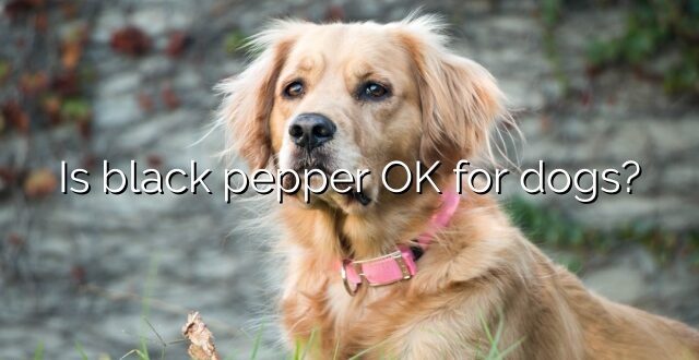 Is black pepper OK for dogs?