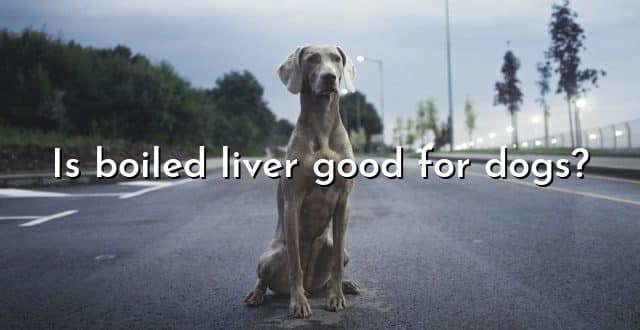 Is boiled liver good for dogs?