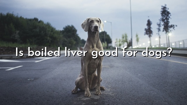 Is boiled liver good for dogs?