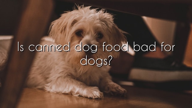 Is canned dog food bad for dogs?