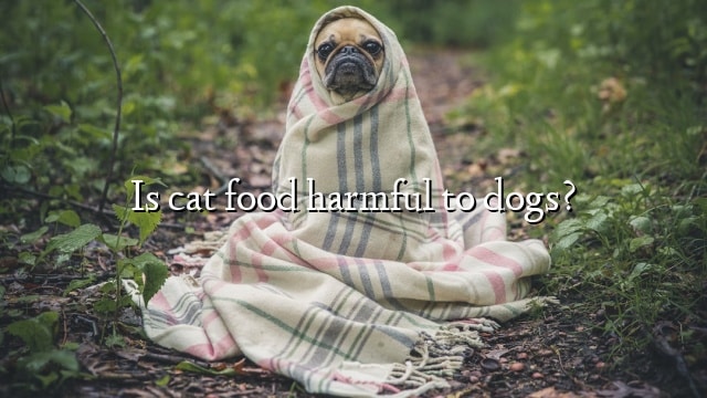 Is cat food harmful to dogs?
