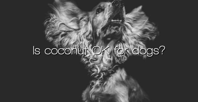 Is coconut OK for dogs?
