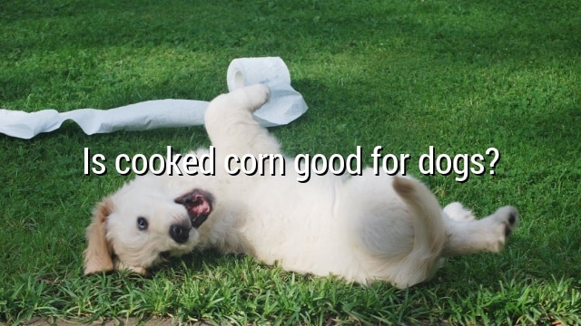 Is cooked corn good for dogs?
