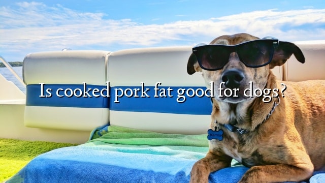 Is cooked pork fat good for dogs?