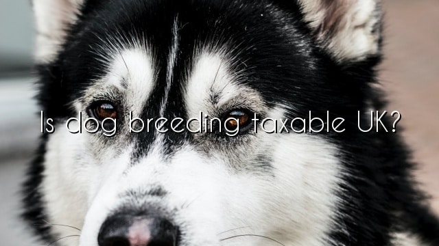 Is dog breeding taxable UK?