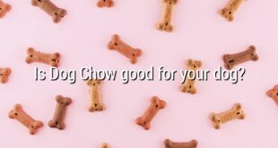 Is Dog Chow good for your dog?