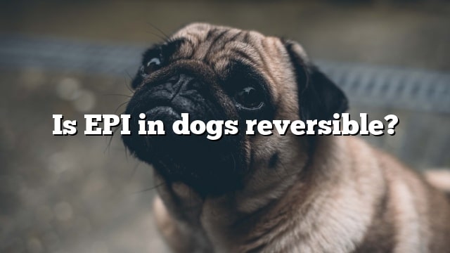 Is EPI in dogs reversible?