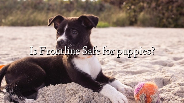 Is Frontline Safe for puppies?
