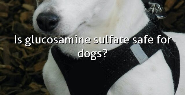 Is glucosamine sulfate safe for dogs?